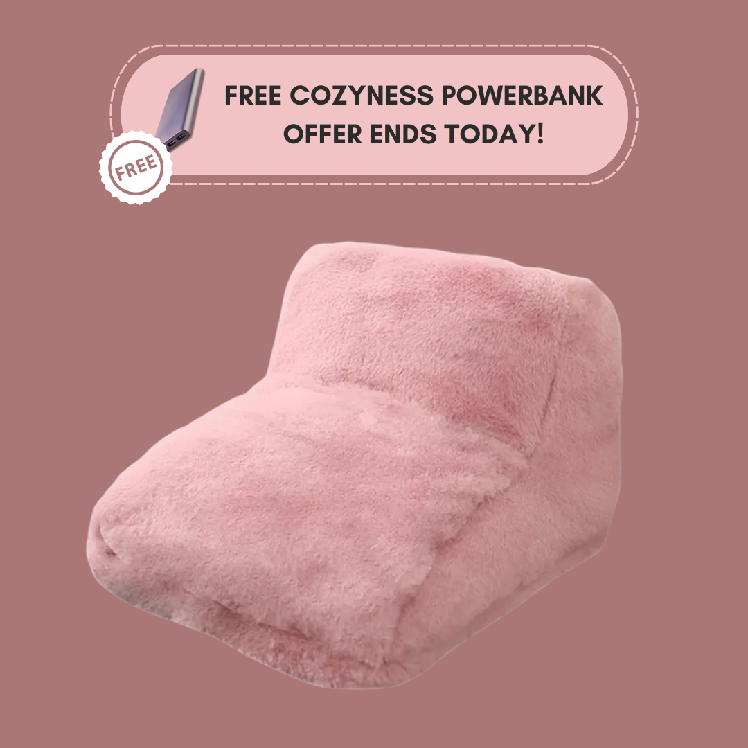 CozyToes Heated Foot Warmer